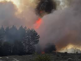 Live natuurbanden | Asielzoekers kunnen terug naar azc Budel na draaien wind