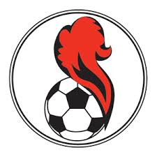 Bildergebnis für ss logo