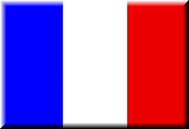 Risultati immagini per bandiera francia
