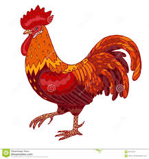 Resultado de imagen de gallo rojo