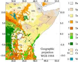 Image of satellite map of the world highlighting climate zones and ecosystems