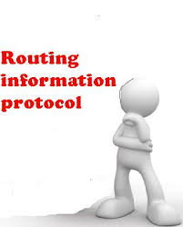 Image result for rip routing