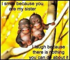 Sister Birthday Quotes | Sisters | Pinterest | Birthday quotes ... via Relatably.com