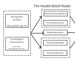 Health Belief Model (HBM) in healthcare