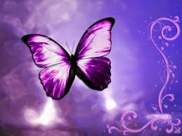 Image result for animated butterflies wallpaper