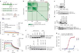 Nature News: Salicylic Acid Directly Rewires Plant Immune Genes — Is Pesticide-Free Farming Finally Real?