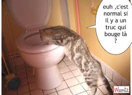 Résultat de recherche d'images pour "image qui bouge"