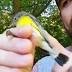 Atlanta Audubon receives Disney Conservation Fund grant