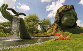 Resultado de imagen para imagenes de el jardin botanico