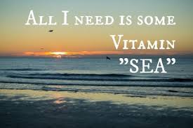 All I need is some Vitamin &quot;Sea&quot; | Vacation Inspiration ... via Relatably.com