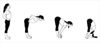 Resultado de imagem para Uttanasana