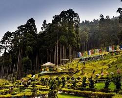 Image of Lamahatta Eco Park, Darjeeling