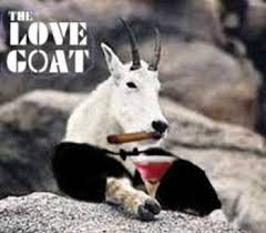 goat with cigar and cocktail