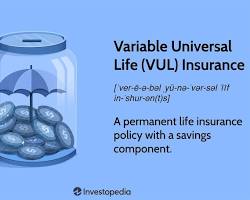 Image of Variable Universal Life Insurance policy