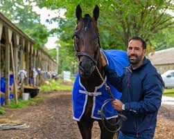 BloodHorse - News update