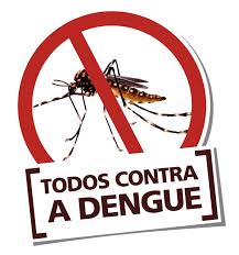 Resultado de imagem para dengue