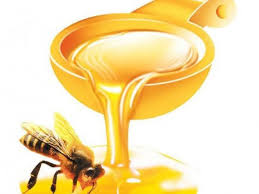 Imagini pentru miere de albine