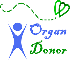 Image result for organ transplant