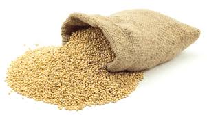 Image result for MILLET