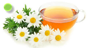 Resultado de imagen de imagenes de infusiones de manzanilla y otros