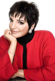 Liza Minnelli Joins Producing Team for 'DRAG: The Musical' Off-Broadway