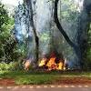 Imagen de la noticia para COMBATIENTES DE INCENDIO PARQUE NACIONAL IGUAZU de Misiones OnLine