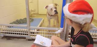 Image result for kids reading to shelter dogs