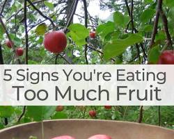 generic fruit bowl with a question mark next to itの画像