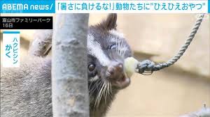 Yahoo!ニュース - News update