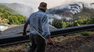 EL PAÍS - News update