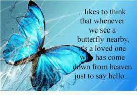 Butterfly quote | Quotes from boards | Pinterest | Butterfly ... via Relatably.com