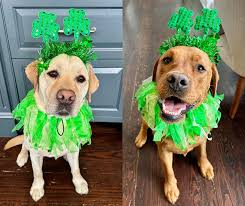 The Strudwick File: Luck of the Irish, Part II