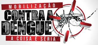 Resultado de imagem para combate a dengue