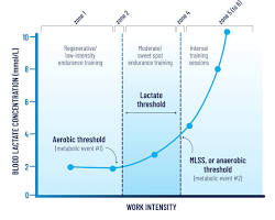 Obrázek: Lactate threshold