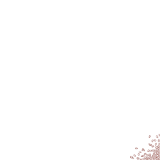 Contact — Bouvardia Coffee