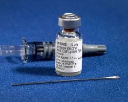 Image of smallpox vaccine scientific