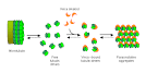 Design, Synthesis, and Biological Evaluation of Stable Colchicine