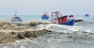 Arabian Sea to witness more cyclones, decline in fish production
