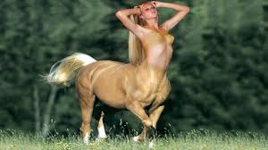 Image result for women on horses