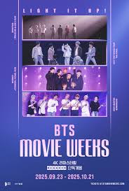 노컷뉴스 - News update
