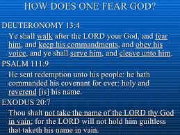 images?q=tbn:ANd9GcQgdlbtD77snuifrJzOX4odLLETGFAk9nzkPbkod-soFOGmgIPCkA