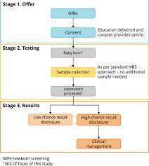 Insights from Experts: Strategies for Genomic Newborn Screening Implementation - 1