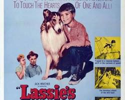 Lassie's Greatest Adventure (1966) movie poster resmi