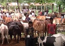 Image result for হাট বাজার নীতিমালা