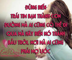 Hình ảnh có liên quan