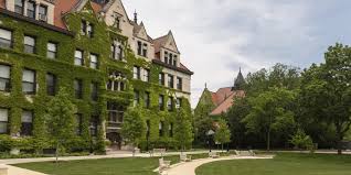 Image result for university of chicago