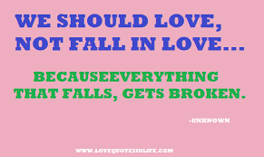 We Should Love Not Fall In Love | Love Quotes in Life via Relatably.com