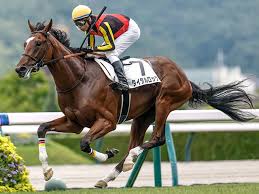 News source: netkeiba