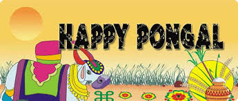 Image result for pongal festival images