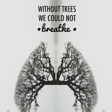 Inspirational Quotes Oak Tree. QuotesGram via Relatably.com